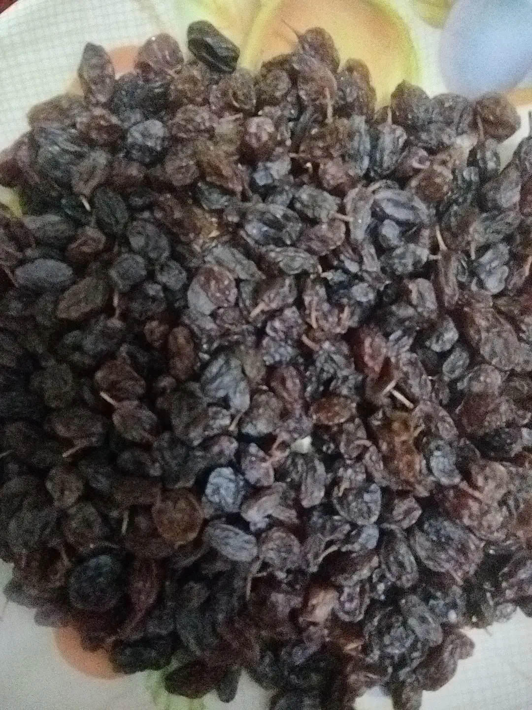 کشمش سیاه درجه 1 بی دانه|خوردنی و آشامیدنی|میاندوآب, |دیوار