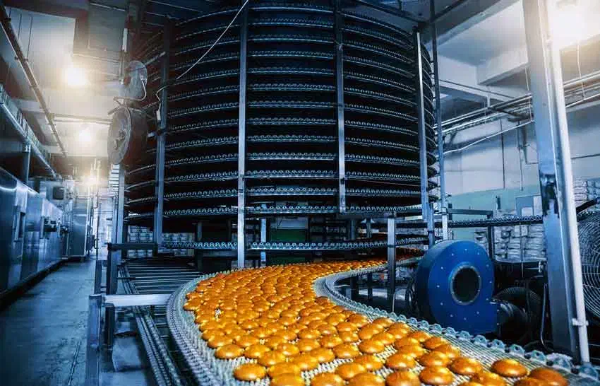 کاگر ساده و ماهر و حراست کارخانه کیک و کلوچه|استخدام صنعتی، فنی، مهندسی|تهران, مشیریه|دیوار