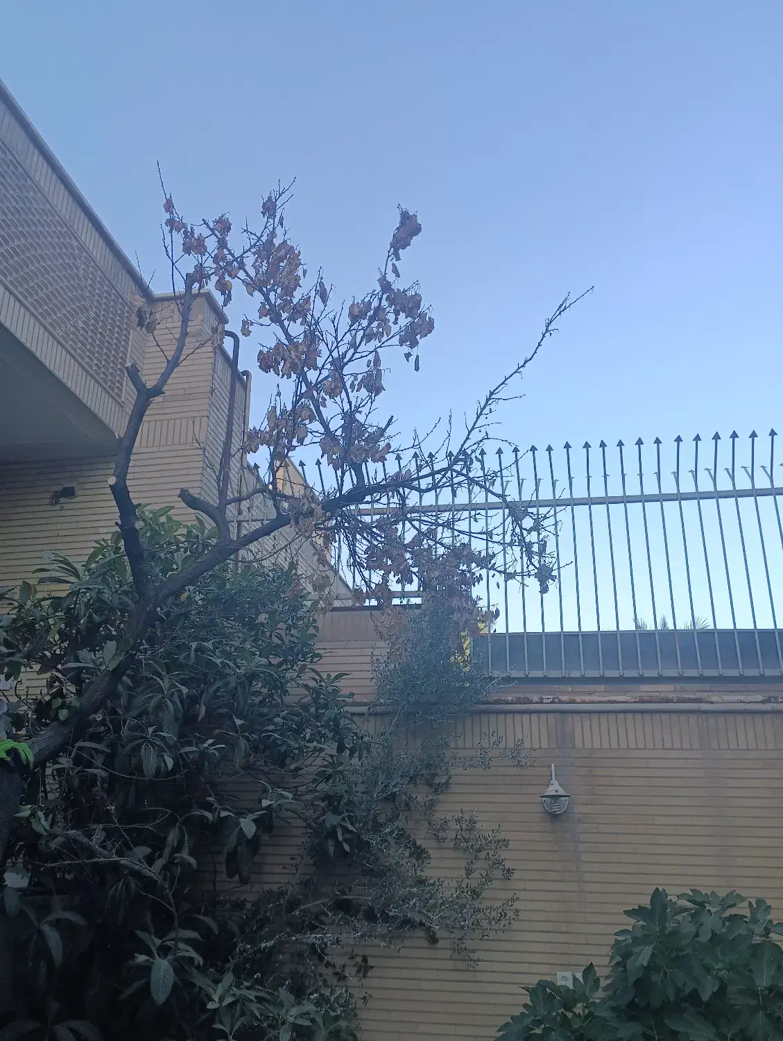 کلنگی باپروانه هفت سقف|فروش زمین و ملک کلنگی|اصفهان, شاه پسند|دیوار