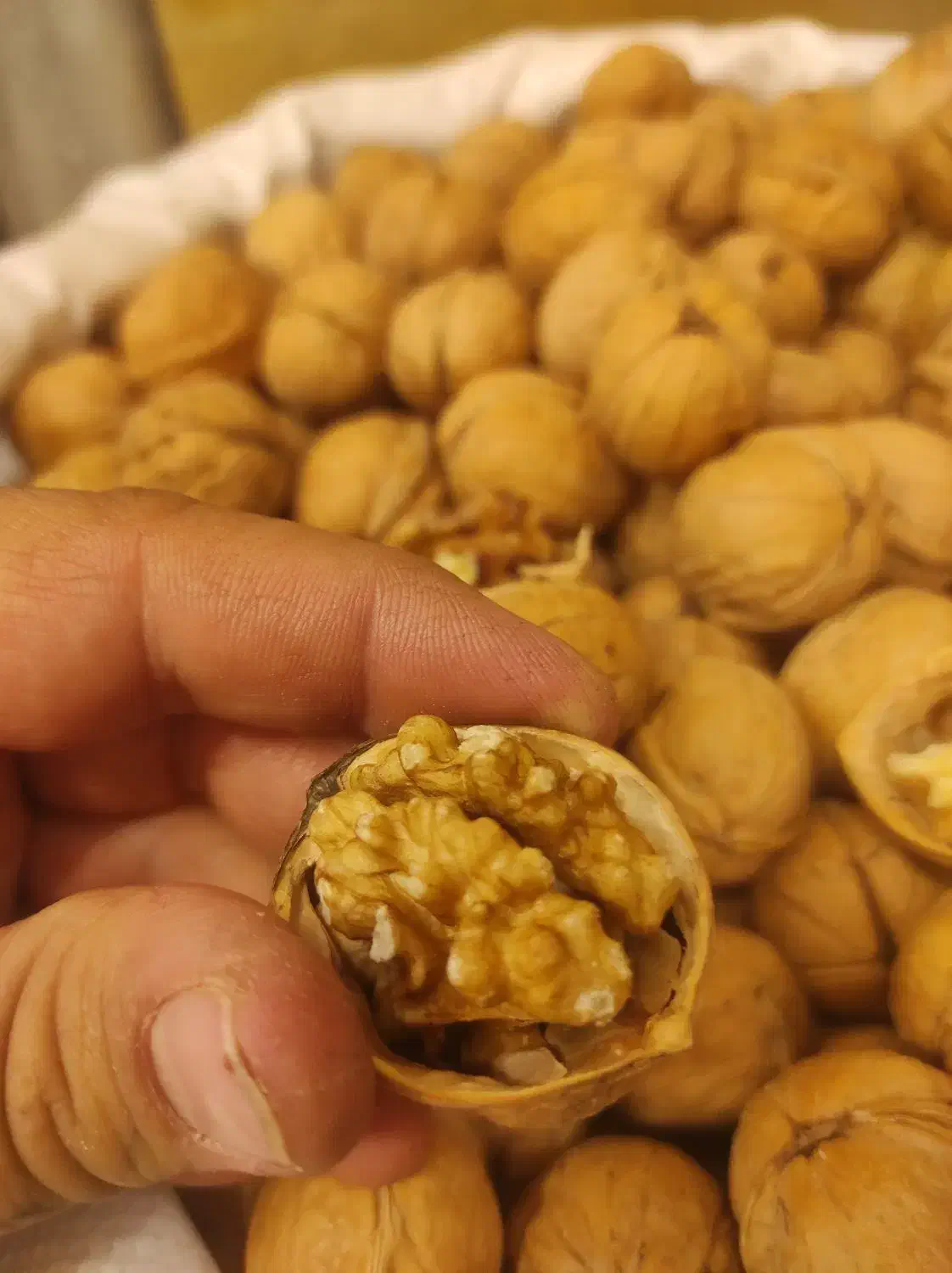 گردو کاغذی نهاوند همدان|خوردنی و آشامیدنی|نجفآباد, جلال آباد|دیوار