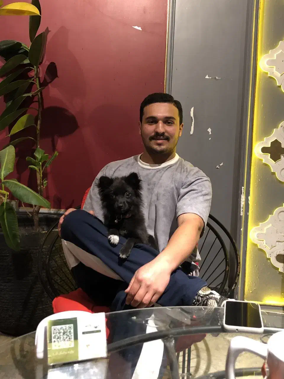 سگ گمشده|حیوانات|بجنورد, |دیوار