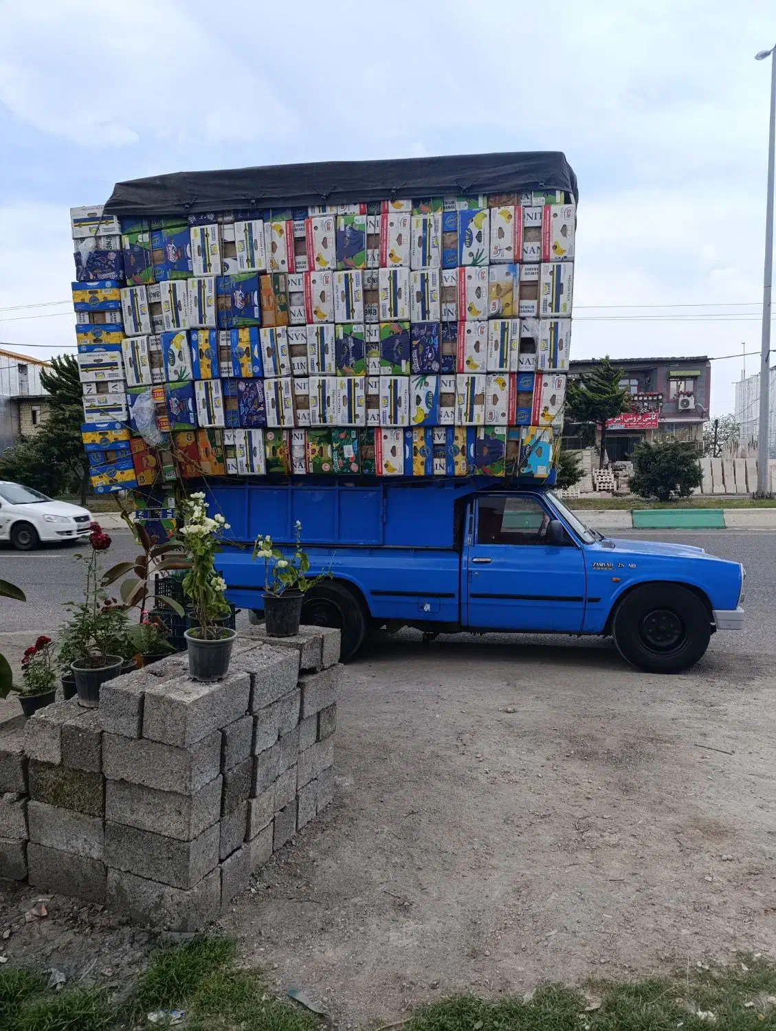 کارتون موزی برای اساس کشی صادرات|عمدهفروشی|اردبیل, |دیوار