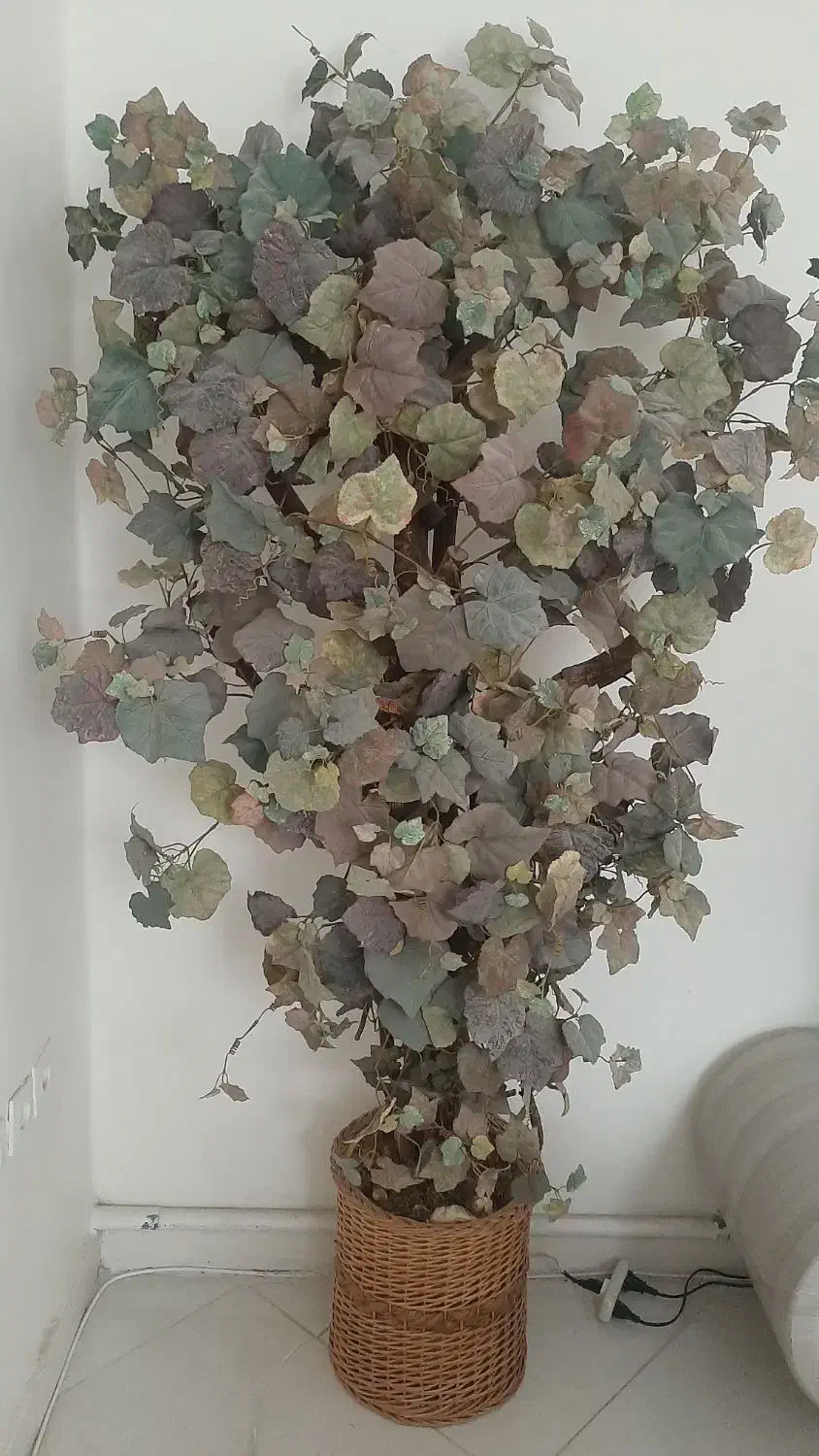 درختچه|گل مصنوعی|کرج, شاهینویلا|دیوار