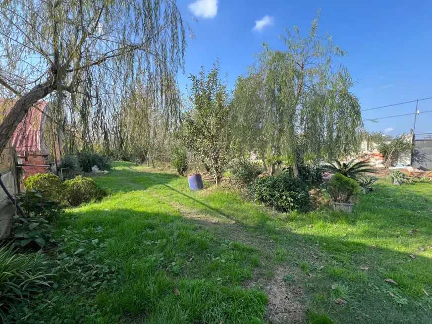 گلخانه|فروش دفتر صنعتی، کشاورزی، تجاری|رشت, حومه رشت|دیوار