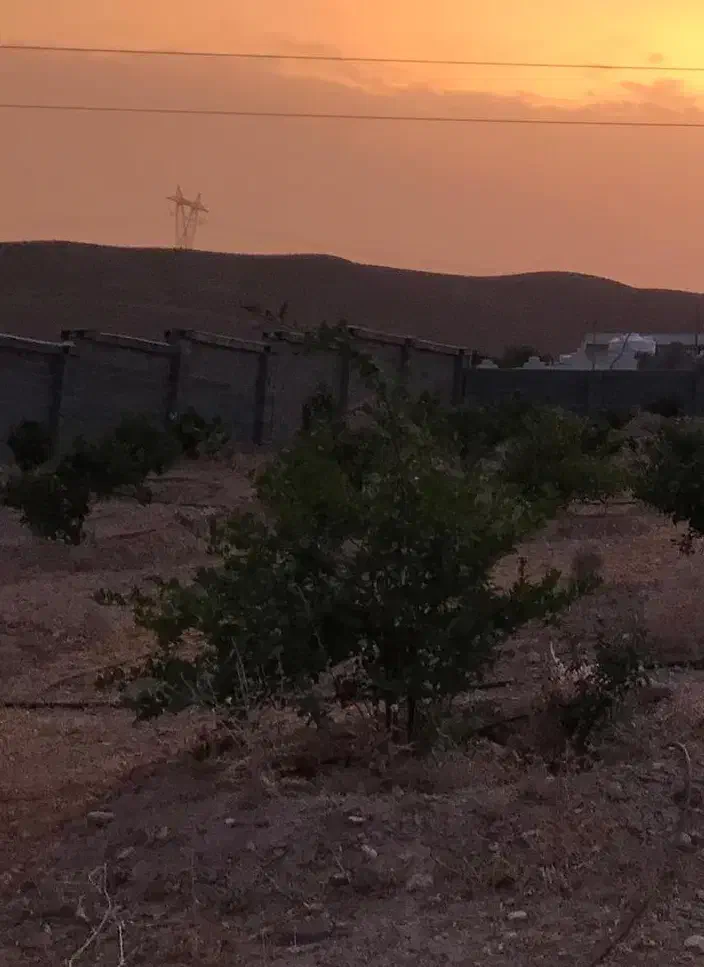 زمین باغشهری زرجان|فروش زمین و ملک کلنگی|فسا, |دیوار