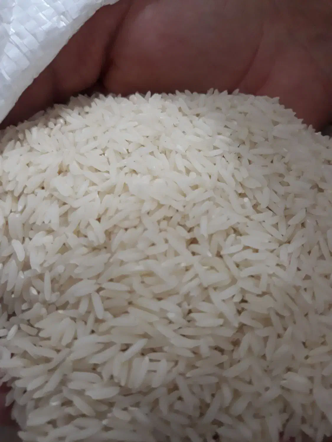 فروش برنج هاشمی اصل|خوردنی و آشامیدنی|پارس‌آباد, |دیوار