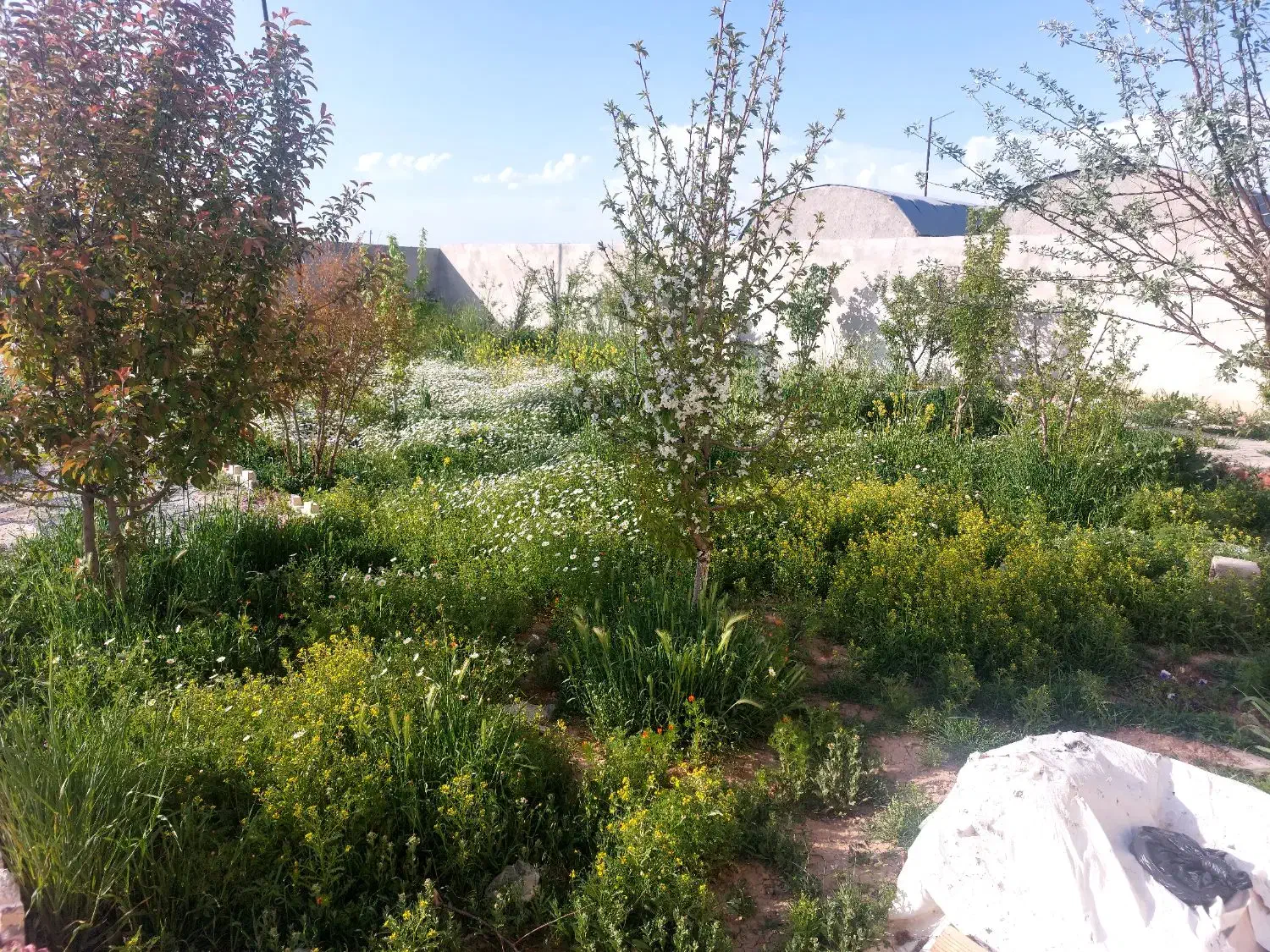 اجاره کوتاه مدت و روزانه ویلا باغ|اجارهٔ کوتاه‌مدت ویلا و باغ|کرمانشاه, |دیوار