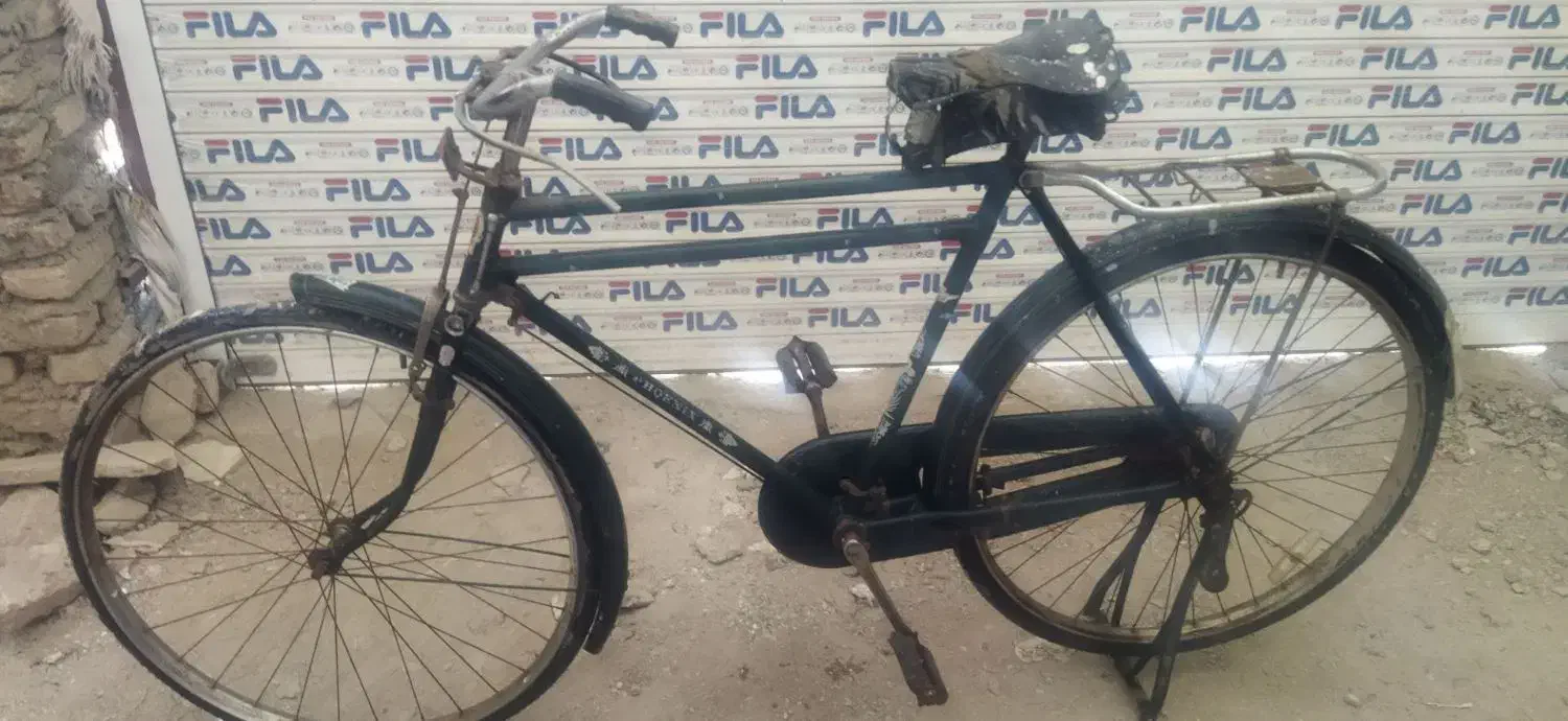 دوچرخه چینی|دوچرخه، اسکیت، اسکوتر|گنبد کاووس, |دیوار