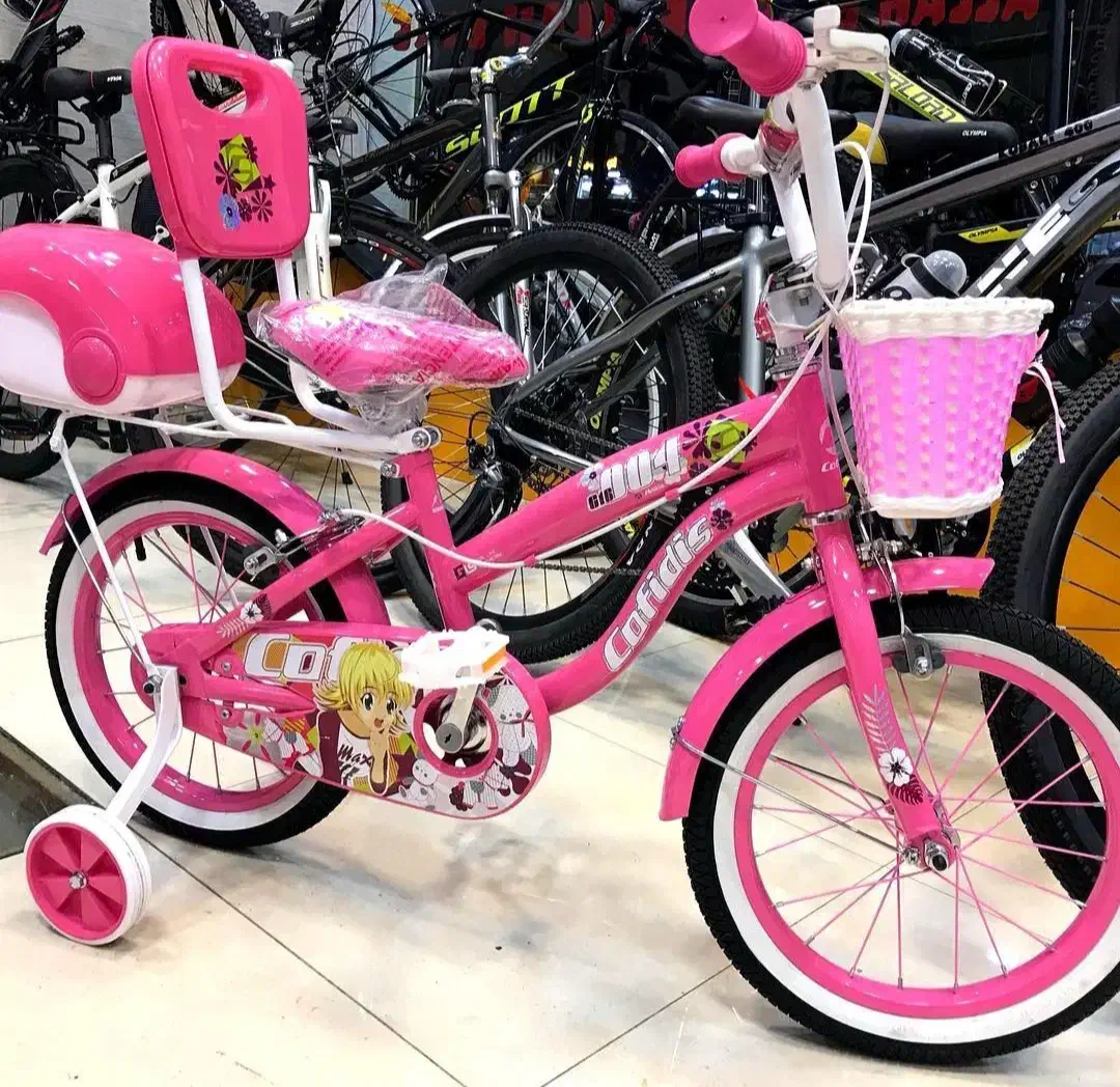 دوچرخه دختر پسر نداره همشو اقساطی میدیم بدون سود|دوچرخه، اسکیت، اسکوتر|مشهد, آزادشهر|دیوار