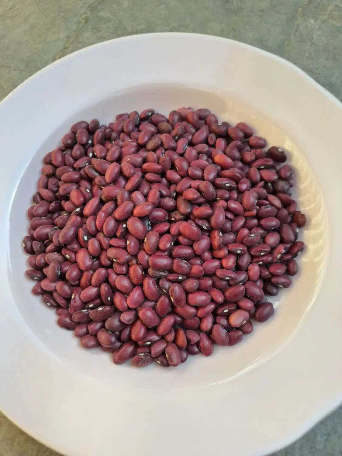 لوبیا قرمز درجه ۱|خوردنی و آشامیدنی|شیراز, گلشن|دیوار