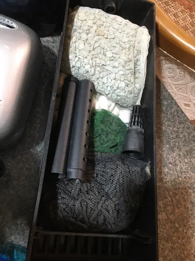 آکواریوم|ماهی|تهران, دانشگاه شریف|دیوار