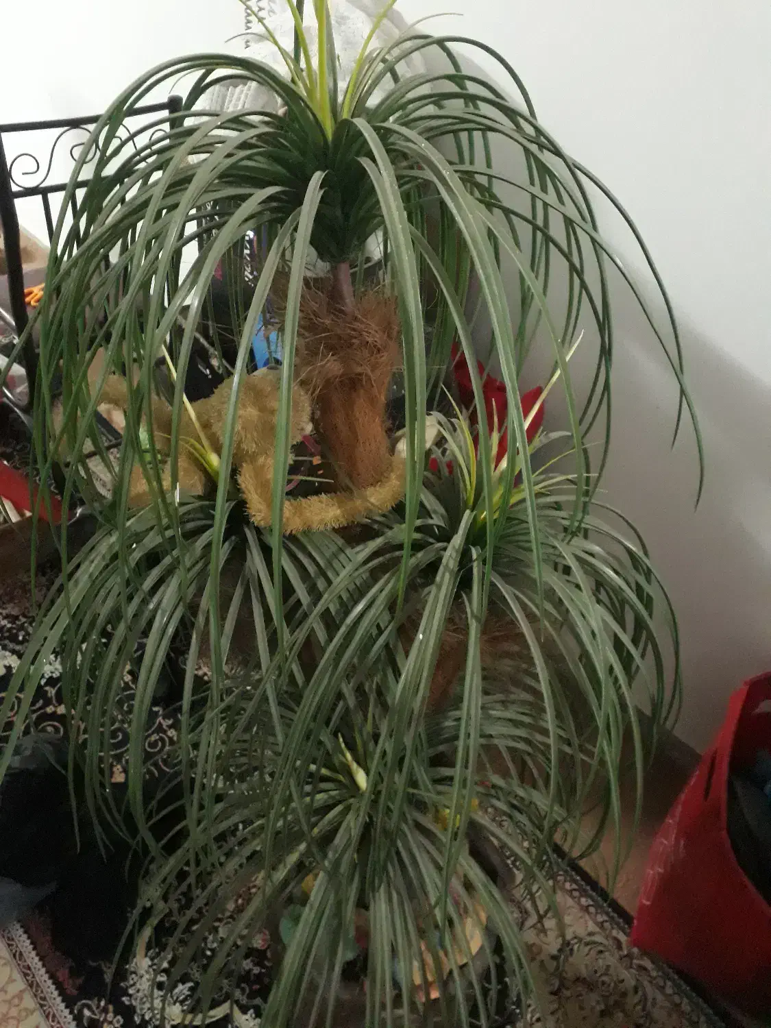 درخت نخل مصنوعی|گل مصنوعی|اهواز, زندوکیلی|دیوار