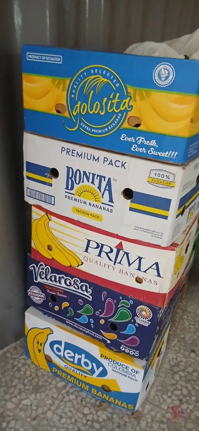 کارتن موزی|حراج|اصفهان, ملاصدرا|دیوار