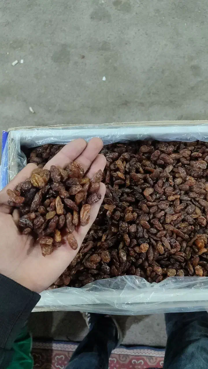 کشمش آفتابی|خوردنی و آشامیدنی|اشکذر, |دیوار