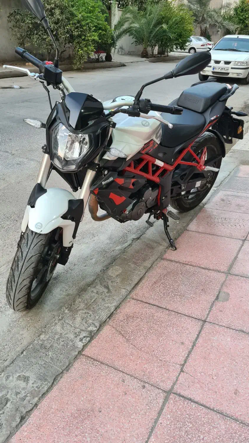 بنلی ۲۵۰ تک سیلندر|موتورسیکلت|بندرعباس, |دیوار