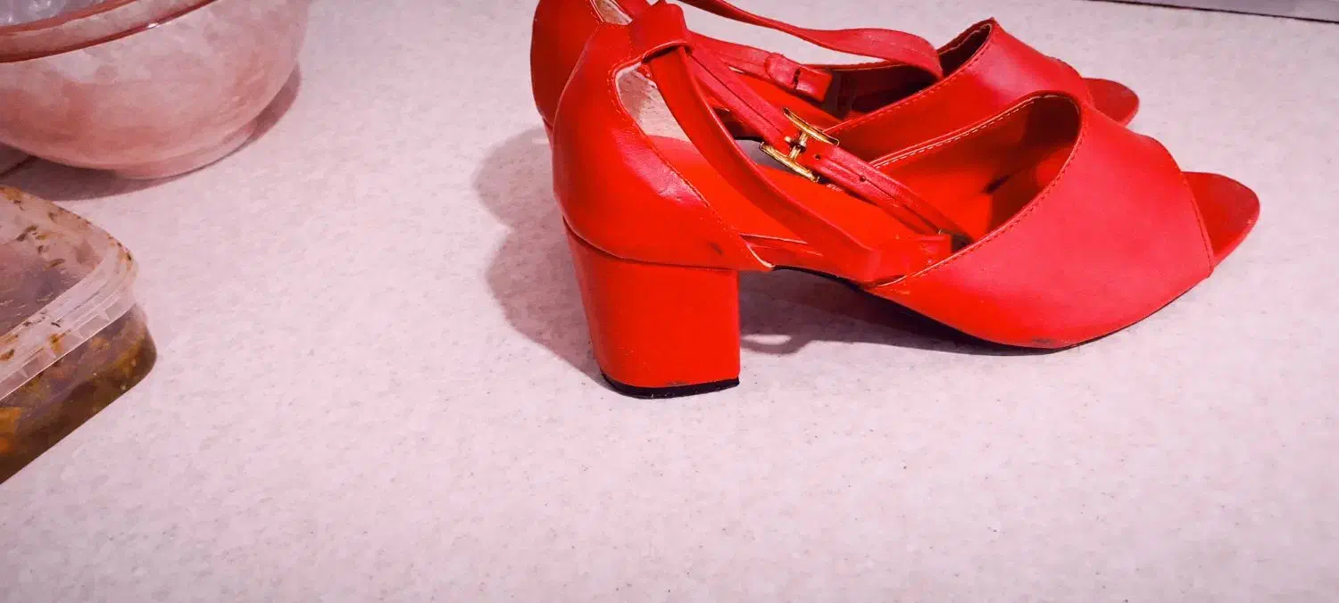 کفش مجلسی وپارچ فرانسوی|کیف، کفش، کمربند|رشت, جهاد|دیوار