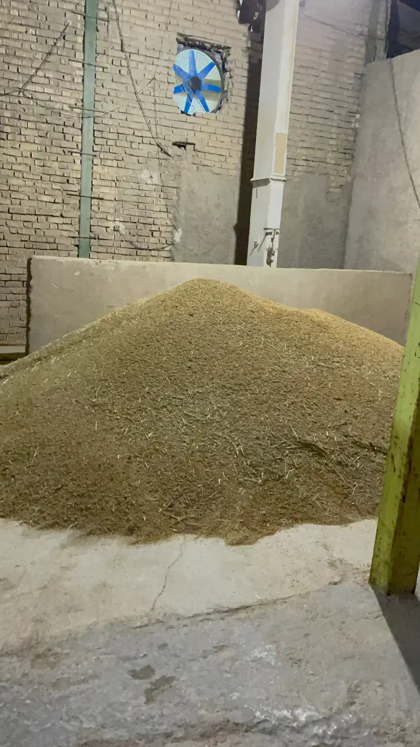 برنج کامفیروزی درجه یک به شرط پخت|خوردنی و آشامیدنی|شیراز, رکن‌آباد|دیوار