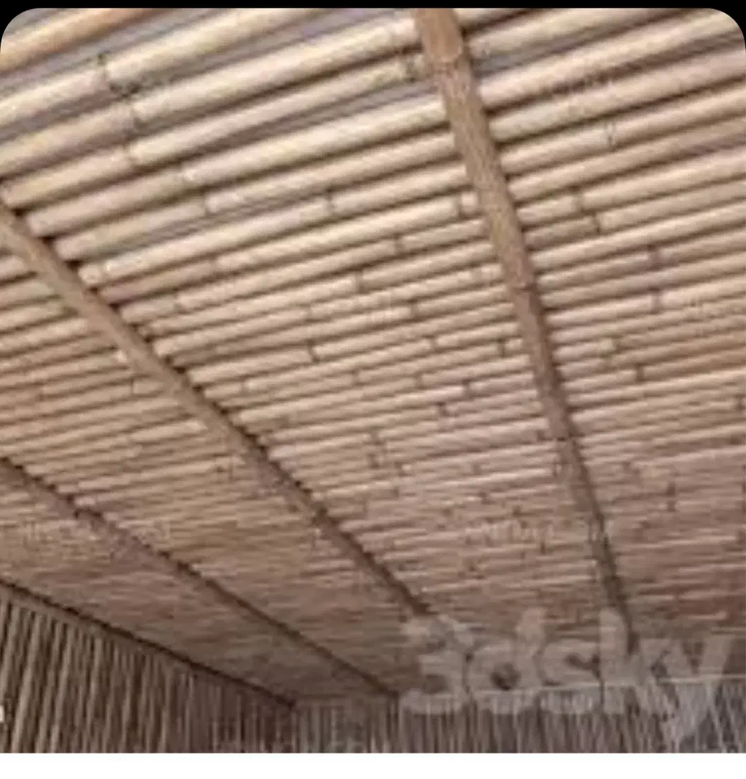 فروش نی سفت وبسیارمحکم|مصالح و تجهیزات ساختمان|خوشاب, |دیوار