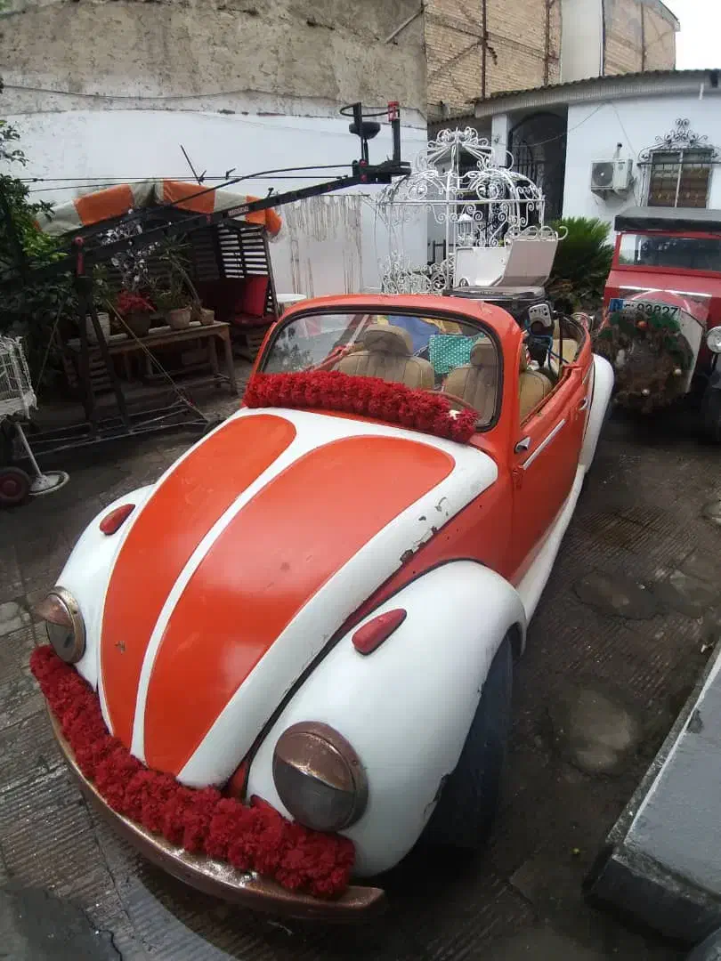 مسافر شیراز|خدمات حمل و نقل|دهدشت, |دیوار