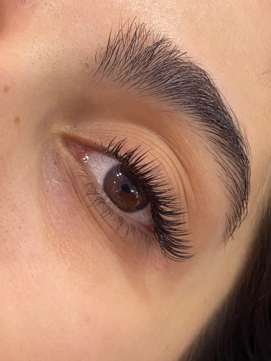 اکستنشن مژه+لیفت ابرو+اموزش|خدمات آرایشگری و زیبایی|سبزوار, ولیعصر (نجار آباد)|دیوار