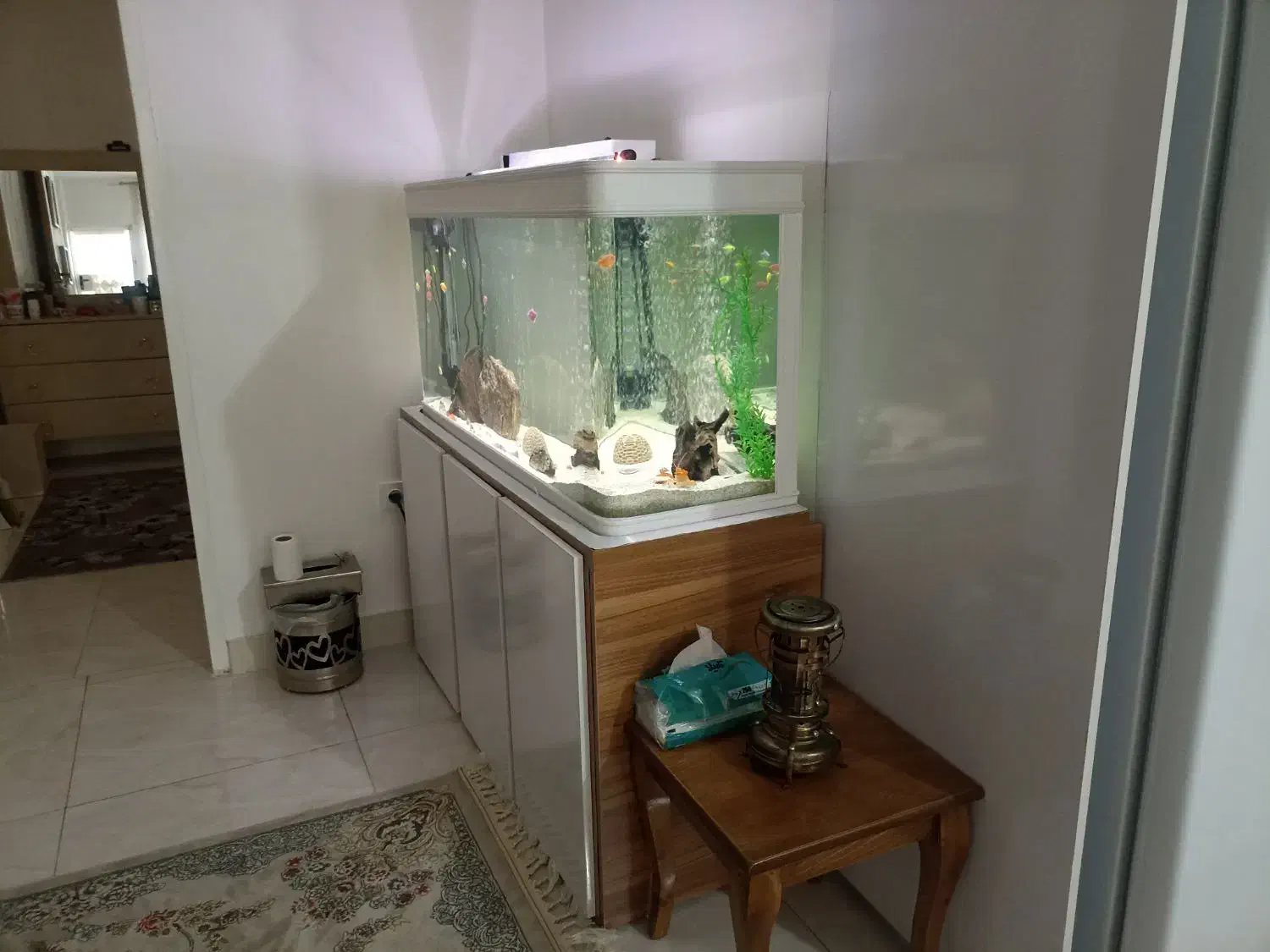 اکواریوم شیشه خم|ماهی|خرمآباد, |دیوار