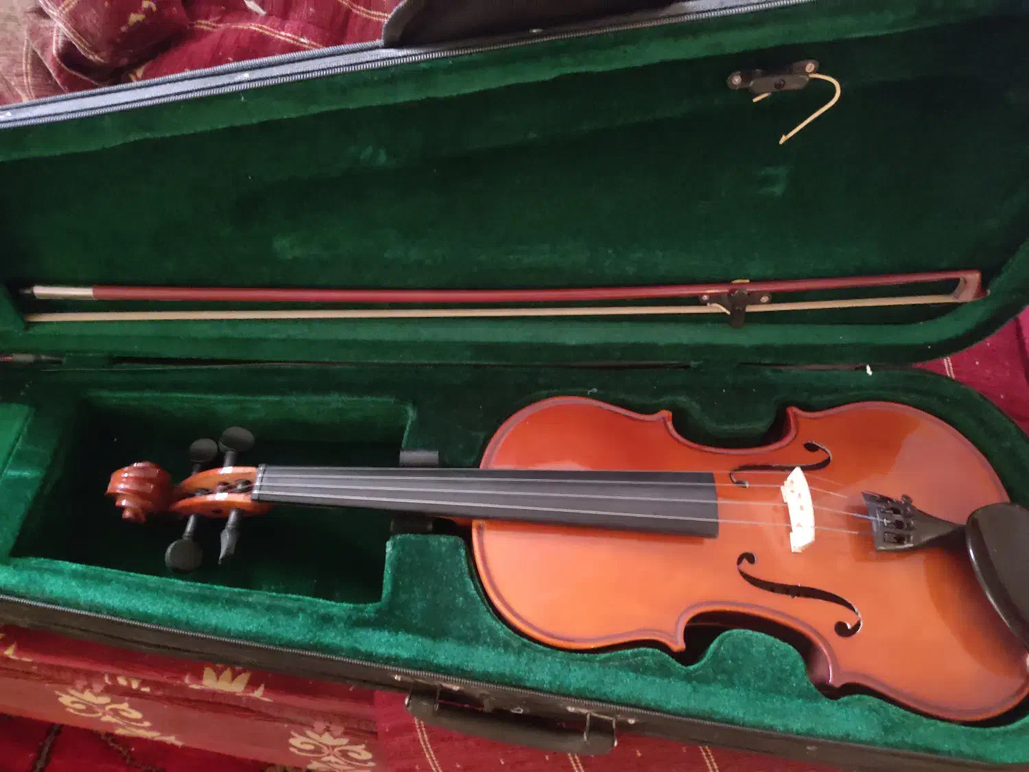 ویلن رناتو ۲۲۰ - RENATO 220|ویولن|کاشان, گبرها|دیوار