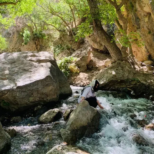 یه قطعه زمین باغ سازی به فروش میرسد|فروش زمین و ملک کلنگی|فریمان, |دیوار