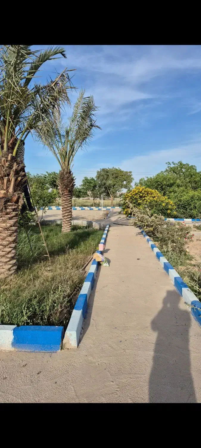 فروش زمین شهرک شرافت گلخانه ها|فروش زمین و ملک کلنگی|شوشتر, |دیوار