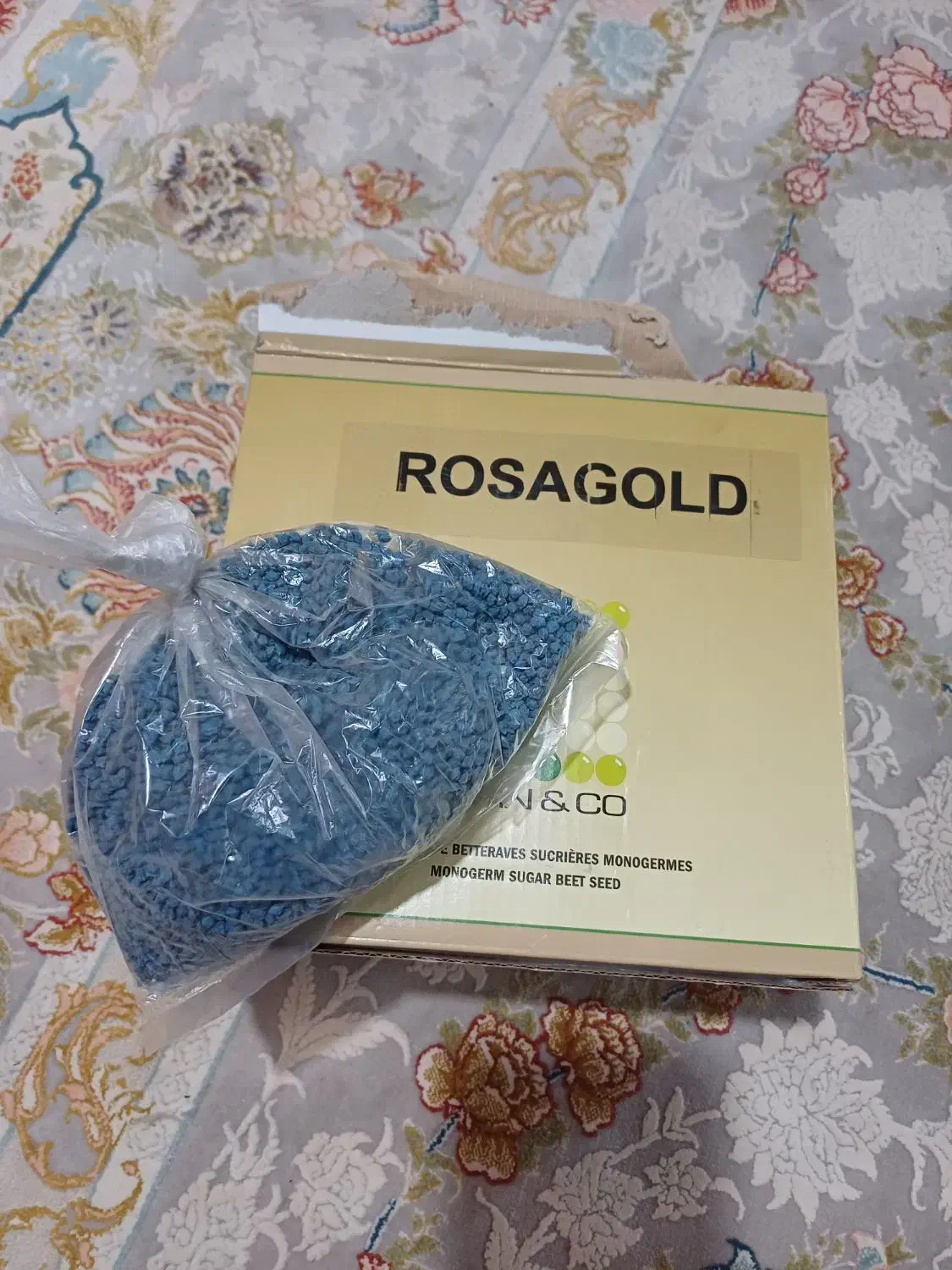 بذر|گل و گیاه طبیعی|سرپل ذهاب, |دیوار