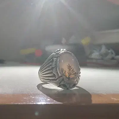 انگشتر شجر قائن کلکسیونی|جواهرات|بروجرد, |دیوار