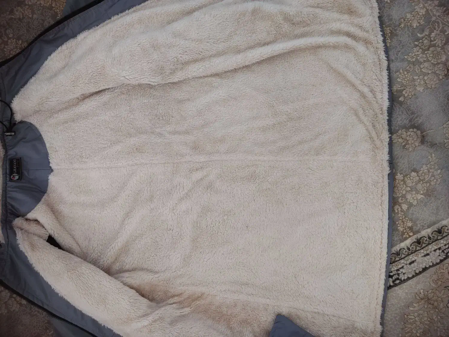 پالتو داخل پشم|لباس|تاکستان, |دیوار