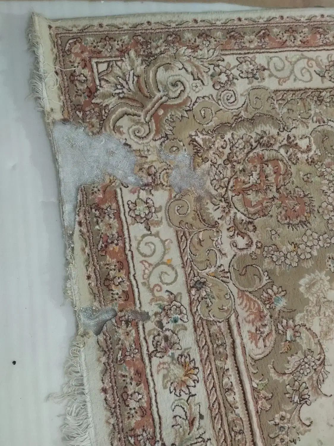 فرش 2تخته|فرش|میانه, |دیوار