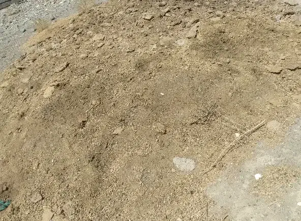 کود گوسفند|لوازم جانبی حیوانات|جیرفت, |دیوار