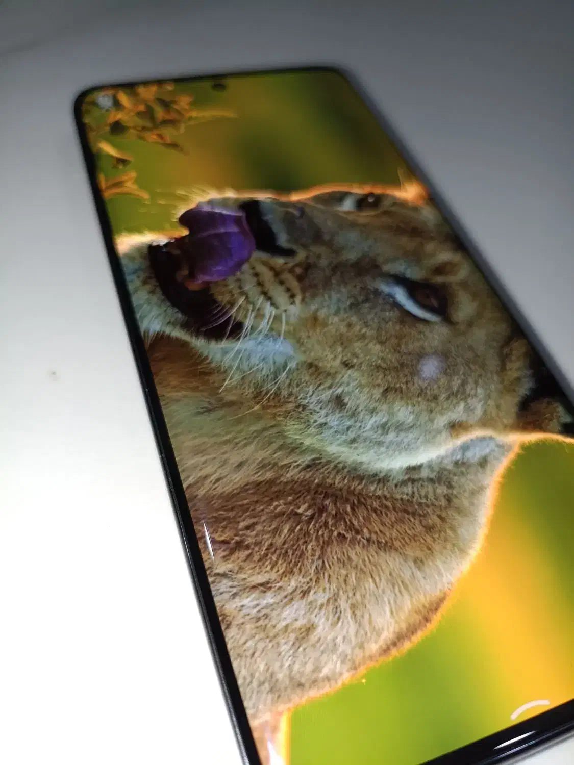 Xiaomi Redmi Note 14 Pro 5G 512GB 12GB|موبایل|قدس, شهرقدس|دیوار