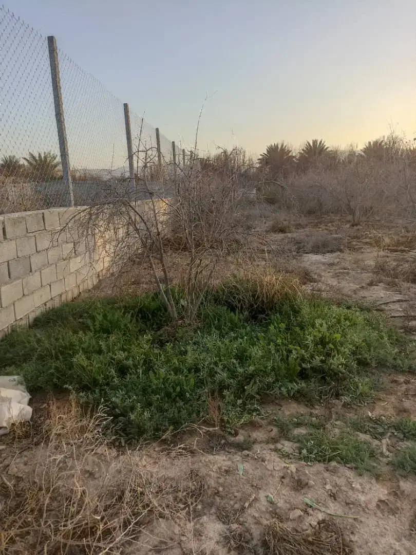 باغ انار جنت شهر|فروش خانه و ویلا|جنت, |دیوار