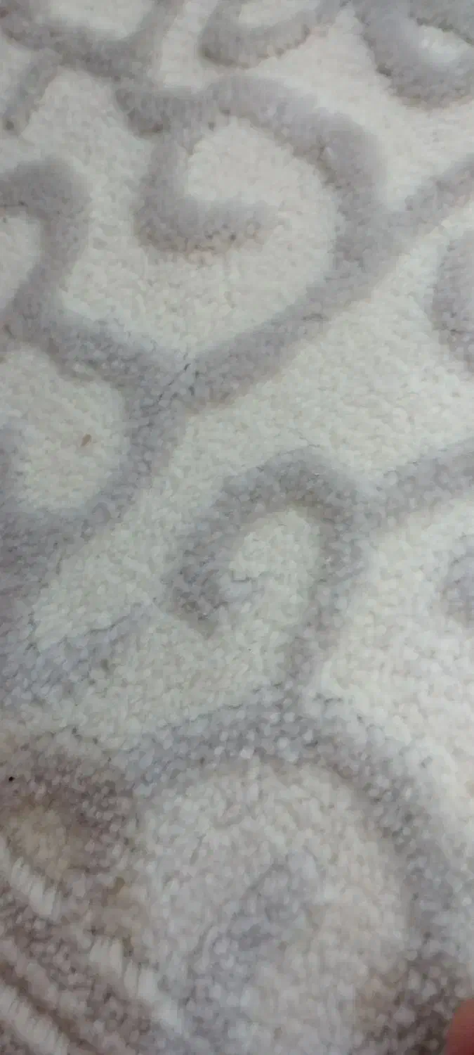 نوبت سنو|فعالیت داوطلبانه|بیرجند, |دیوار