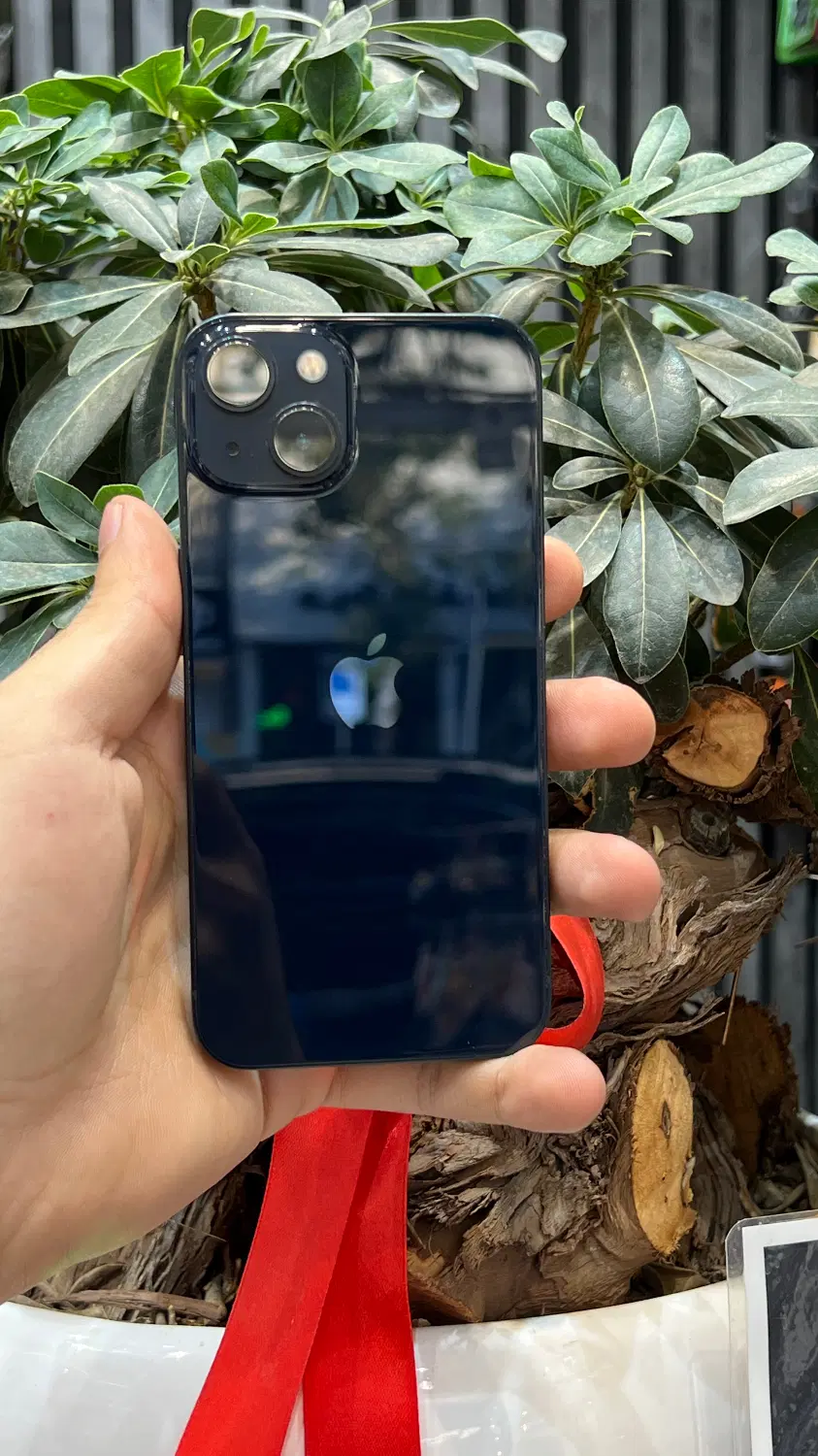 IPhone 13|موبایل|مشهد, طلاب|دیوار