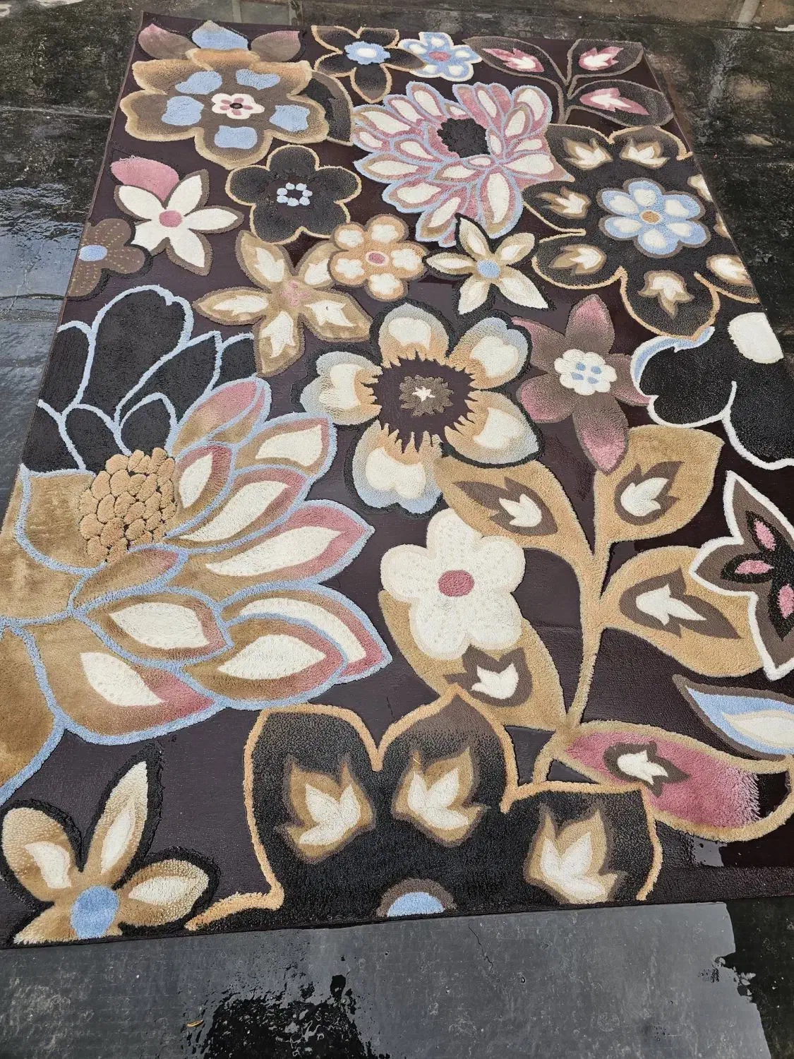 فرش،۶متری|فرش|نیشابور, فردوس شمالی|دیوار