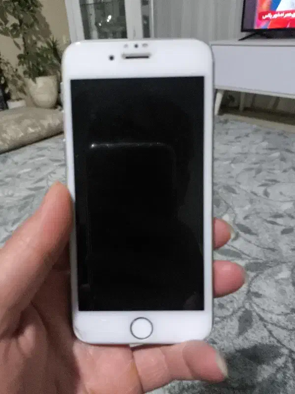 آیفون ۶|موبایل|مشهد, گلشور|دیوار