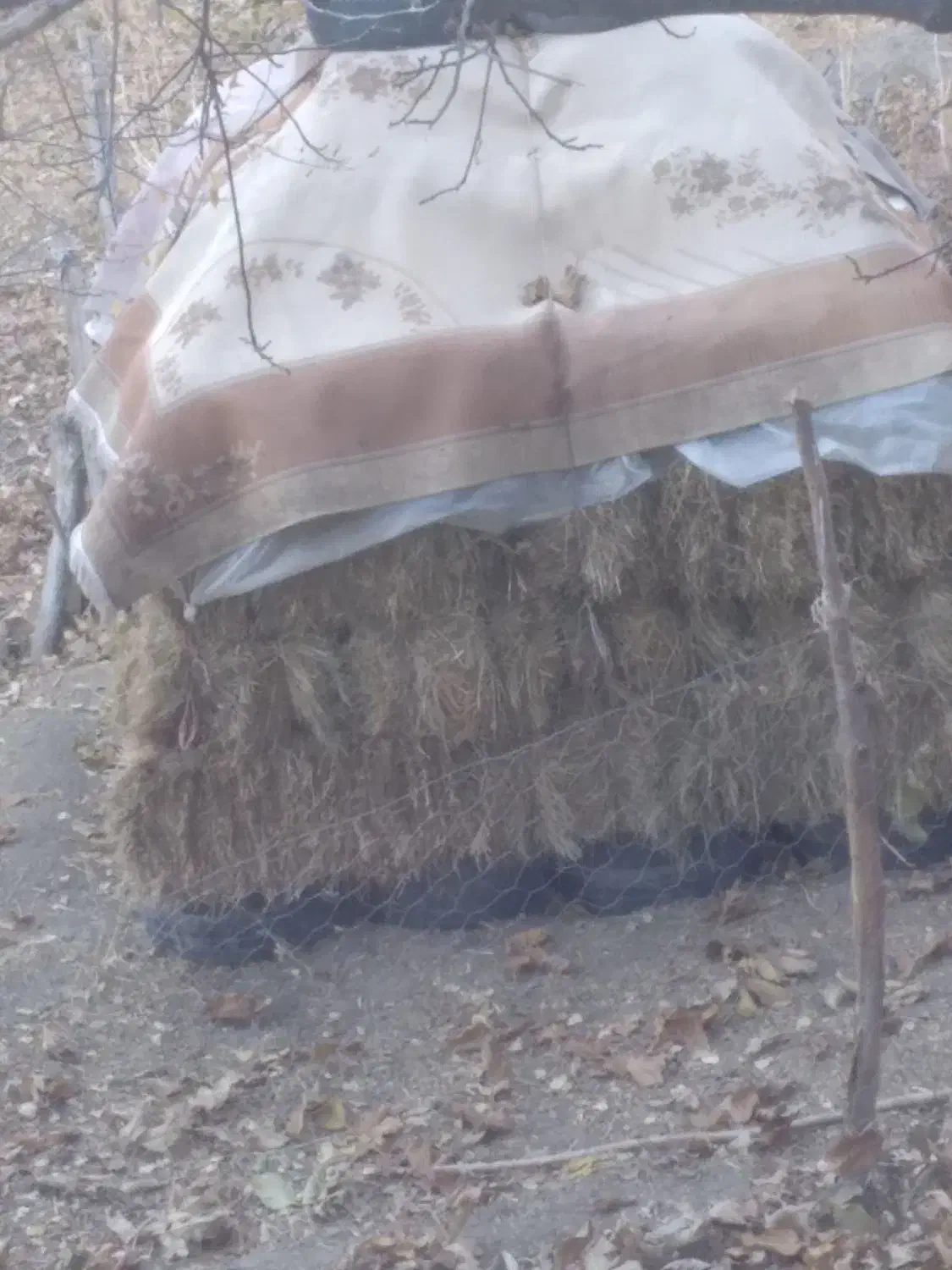 علف چمن فروشی|عمده‌فروشی|خلخال, |دیوار