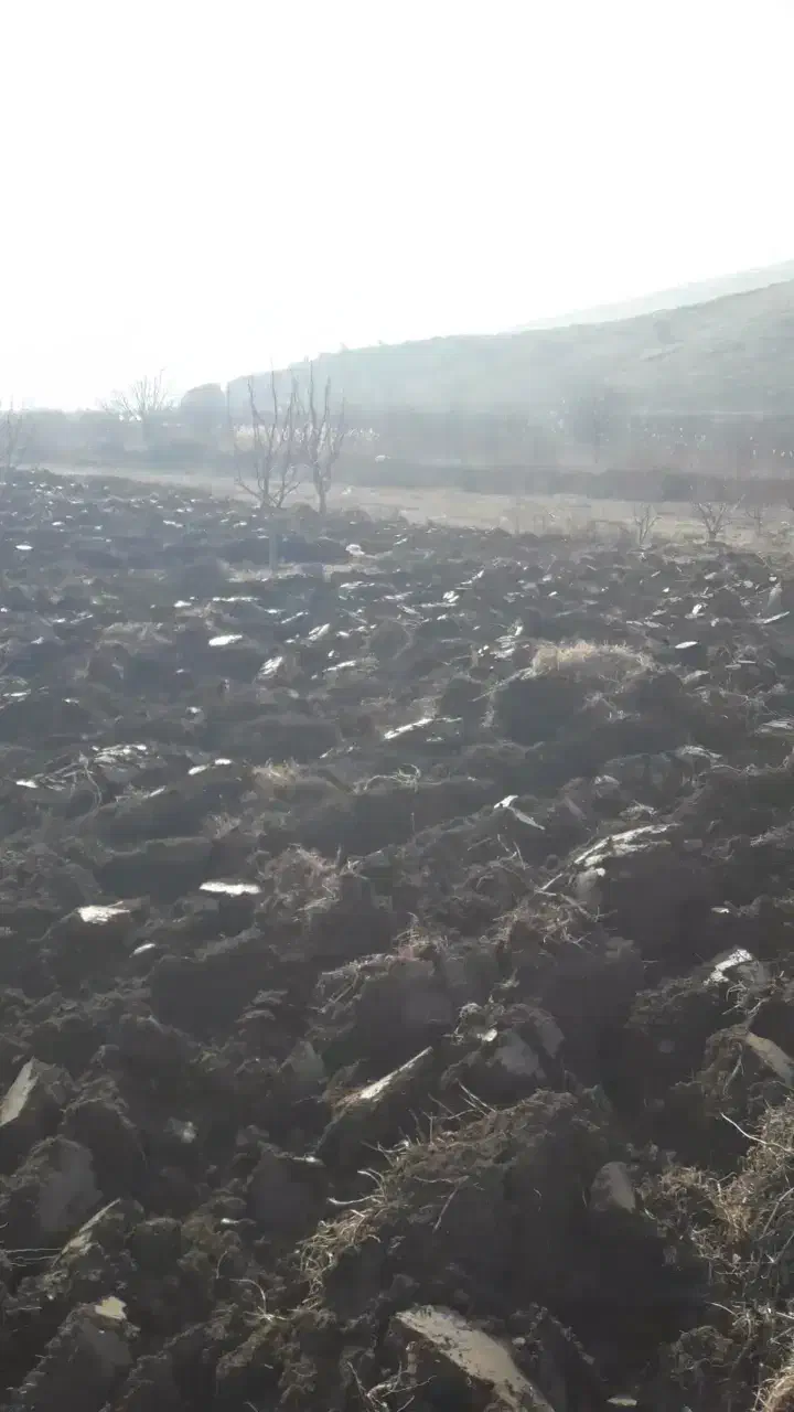 خدمات کشاورزی با تراکتور باغی|خدمات باغبانی و درختکاری|ارومیه, |دیوار