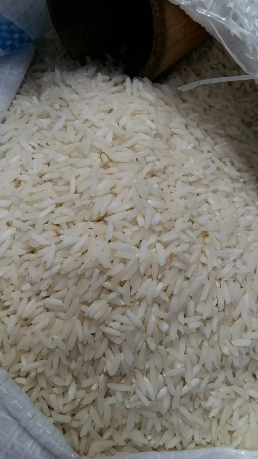 برنج صدری دمسیاه درجه یک خوش عطر و خوس پخت|خوردنی و آشامیدنی|رشت, استادسرا|دیوار