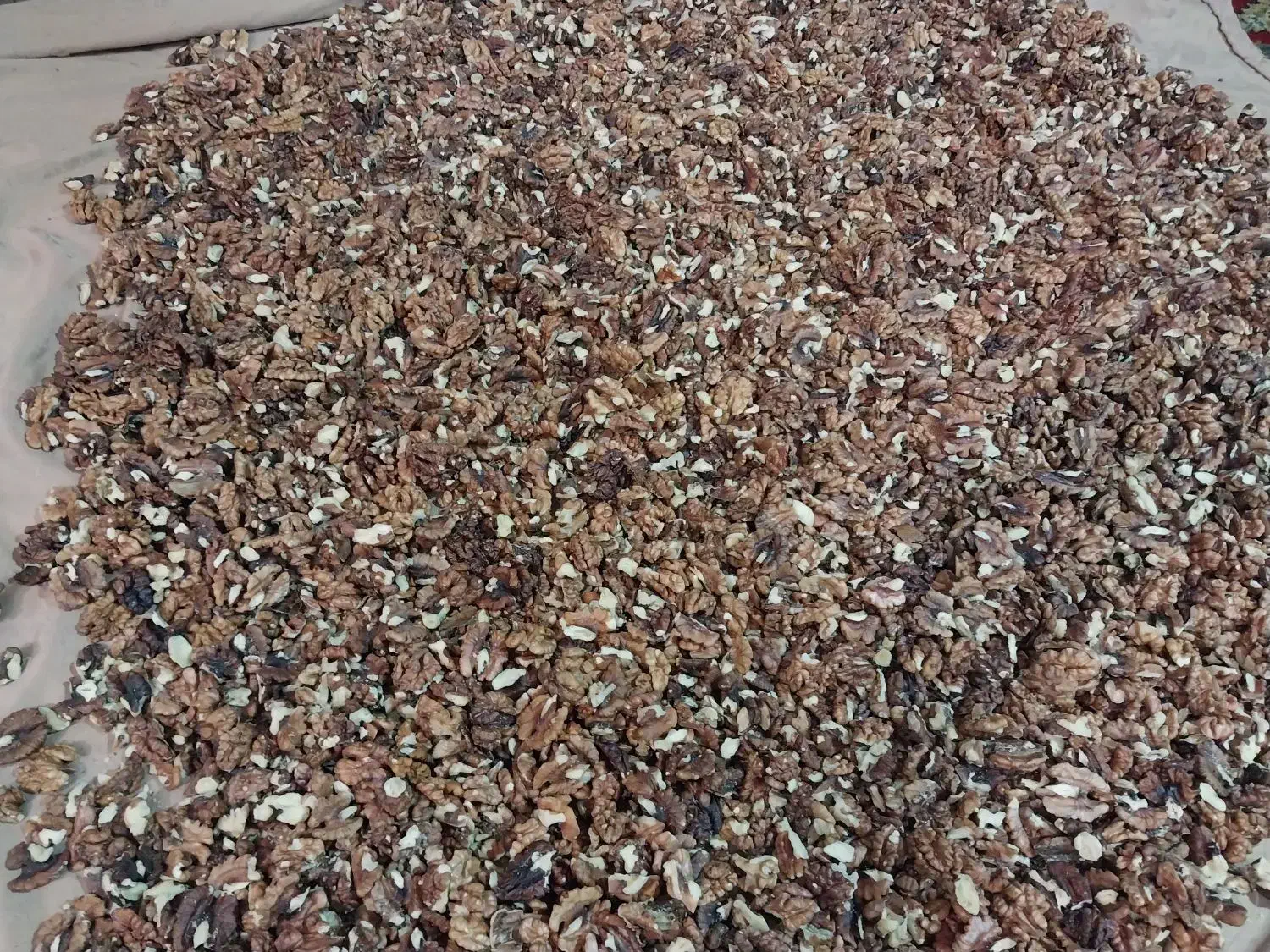 مغز گردو|خوردنی و آشامیدنی|ری, شهرری|دیوار