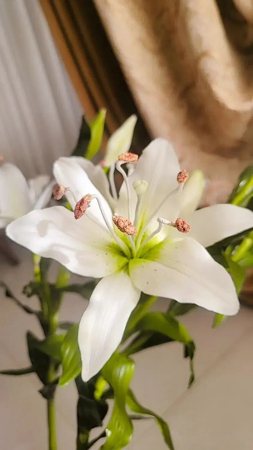 گلهای دست ساز منعطف چینی|گل مصنوعی|تهران, کوهک|دیوار