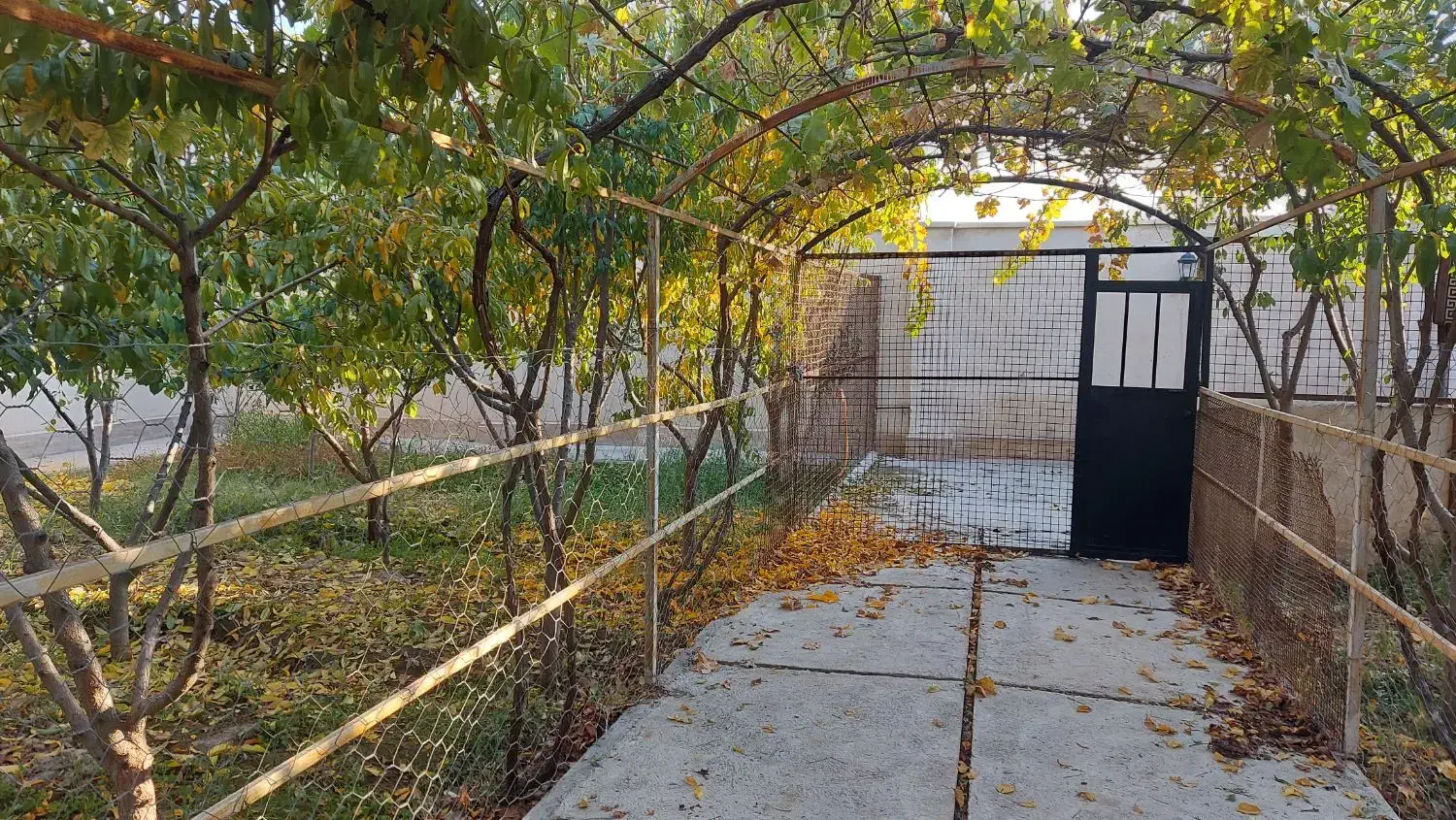 باغچه ویلایی سند دار|فروش خانه و ویلا|هشتگرد, شهرک افشاریه|دیوار