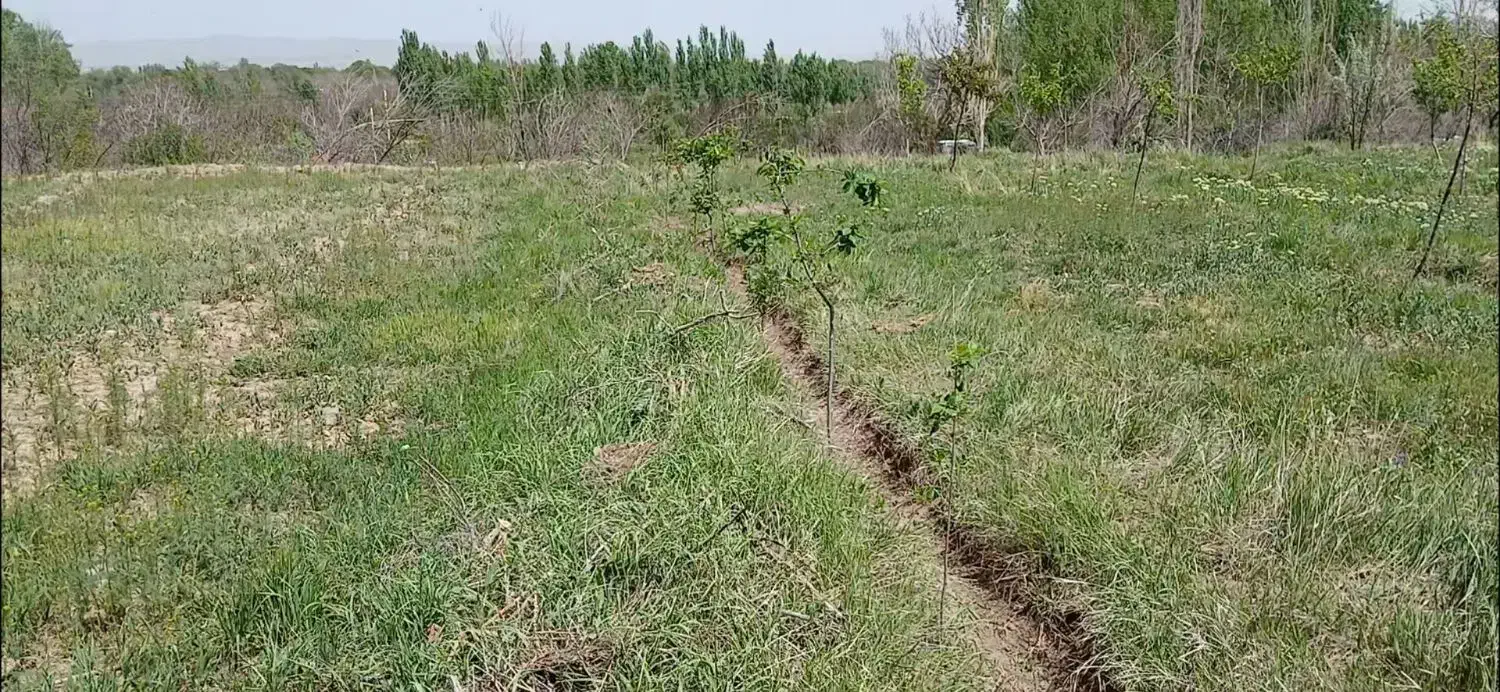 زمین  1100 متری مناسب برای باغچه|فروش دفتر صنعتی، کشاورزی، تجاری|ابهر, |دیوار