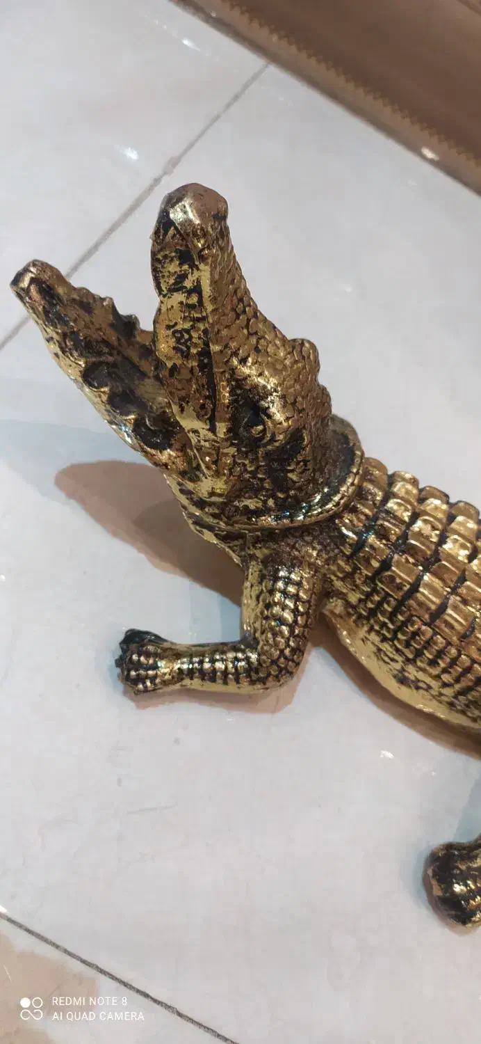 مجسمه تمساح سالم|مجسمه، تندیس، ماکت|بروجرد, |دیوار