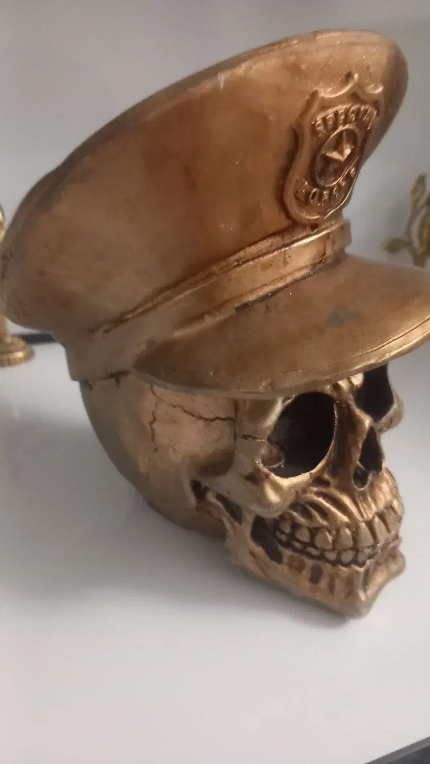 مجستمه اسکلت ارزان|مجسمه، تندیس، ماکت|نسیم‌شهر, |دیوار