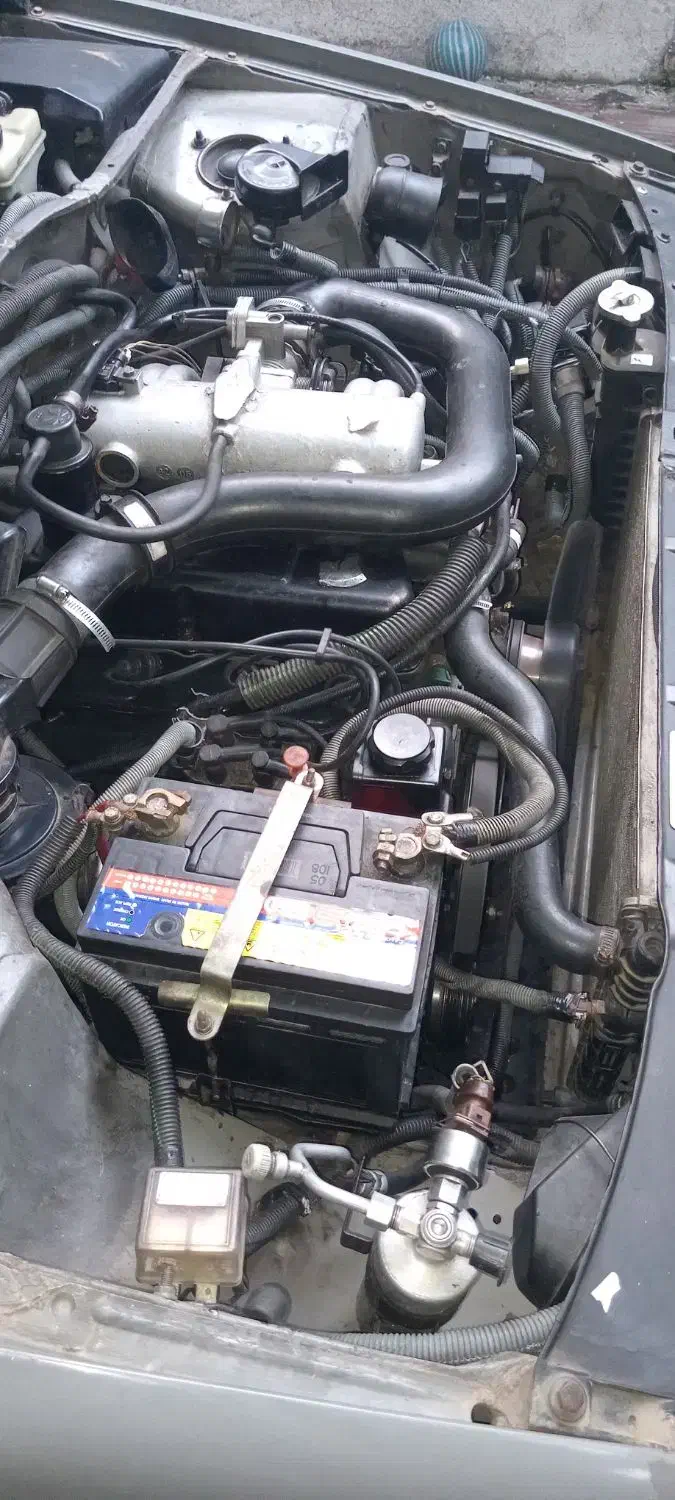 ۱۶۰۰هیرولیک.دوگانه|خودرو کلاسیک|رشت, فلسطین|دیوار