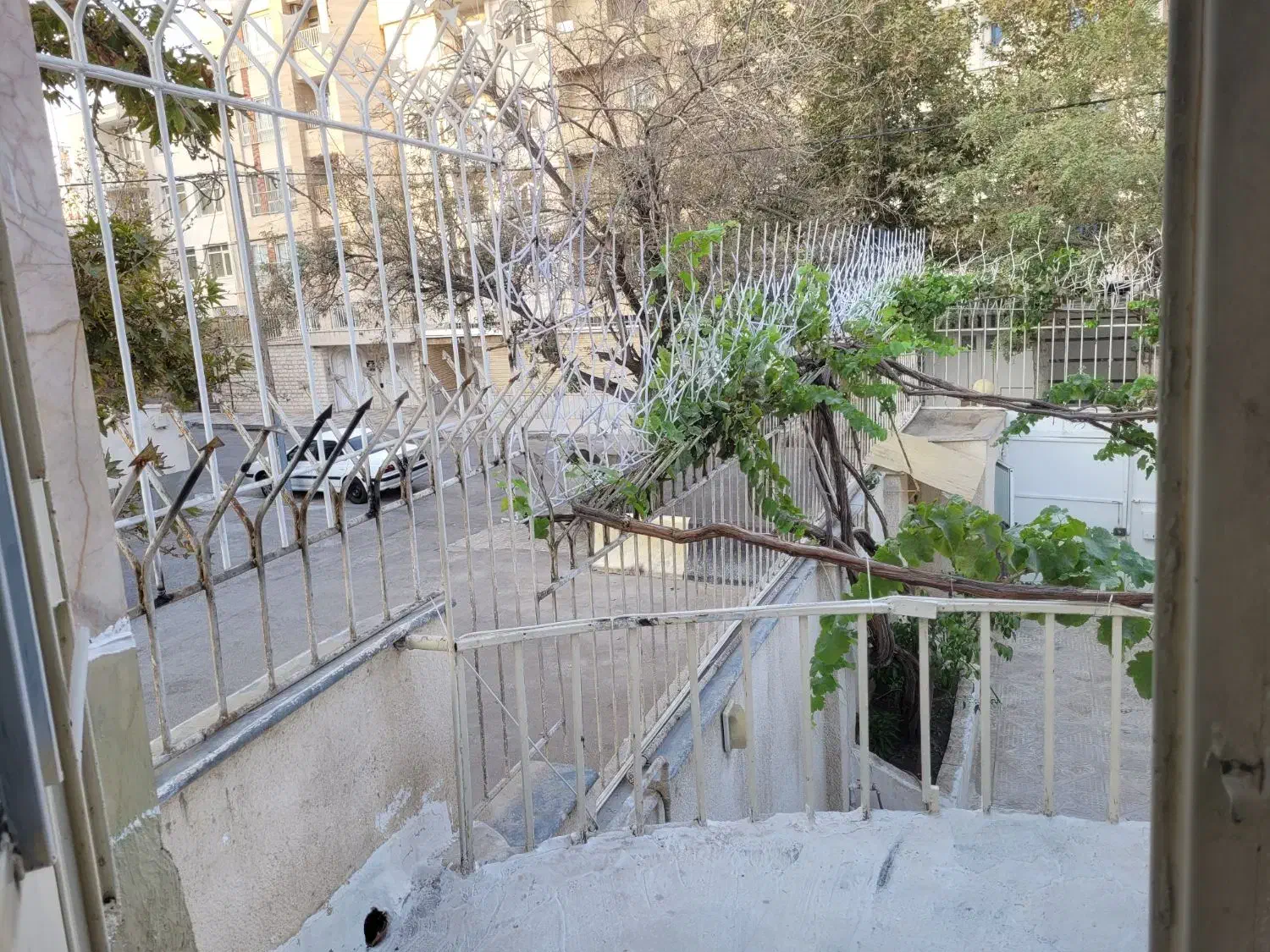 تصویر 10